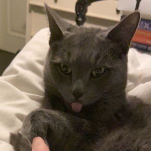 Meet your Posher, Nathan